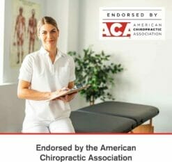 ObusForme Lowback Backrest Support endorsed by the American Chiropractic Association