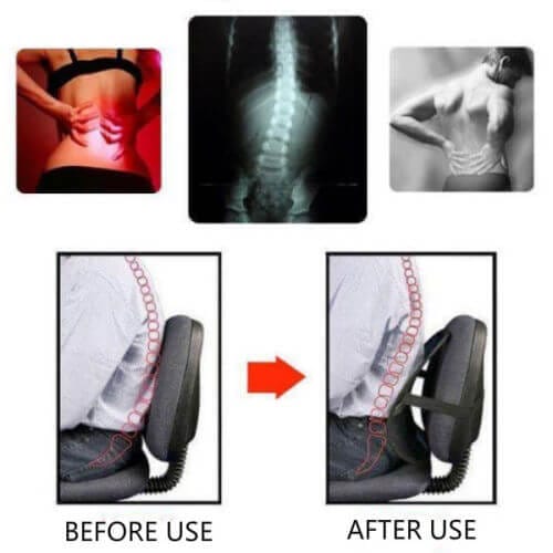 Mesh Lower Back Support Cushion