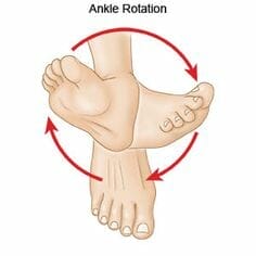 ankle rolls and rotation
