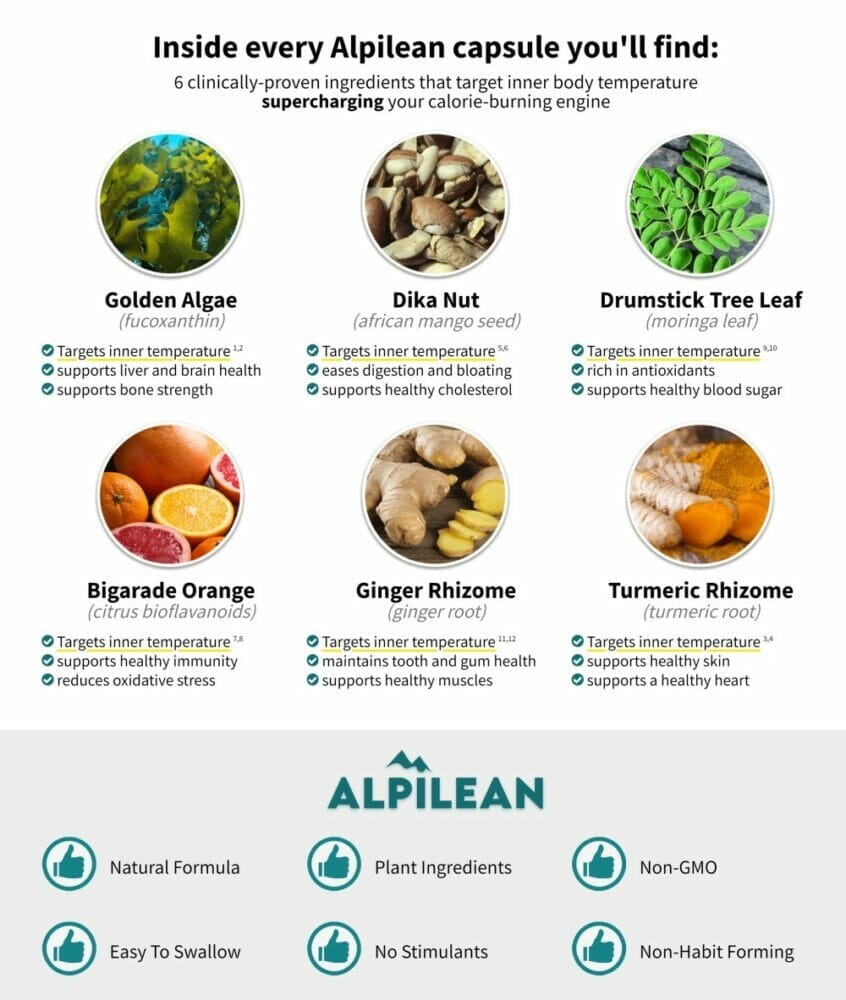 alpilean ingredients